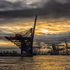 Hamburg Hafen Skyline