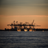 Hamburg Hafen Skyline